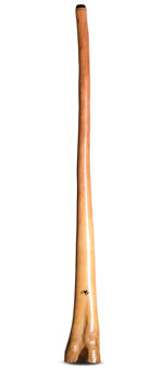 Tristan O'Meara Didgeridoo (TM336)